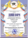 Диплом 1 степени общероссийского конкурса "Магистр" в номинации "Лучший проект 2014-2015 учебного года" за проект "Мир зелёный, мир живой дарит радость нам с тобой"